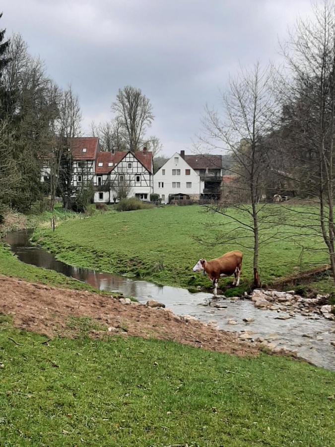 Ferienwohnung Haus An Der Werbe Waldeck  Exterior foto