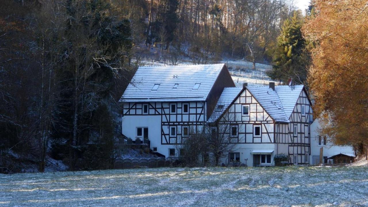 Ferienwohnung Haus An Der Werbe Waldeck  Exterior foto